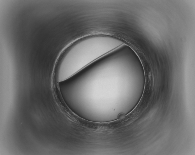 X0000113250388200909100947