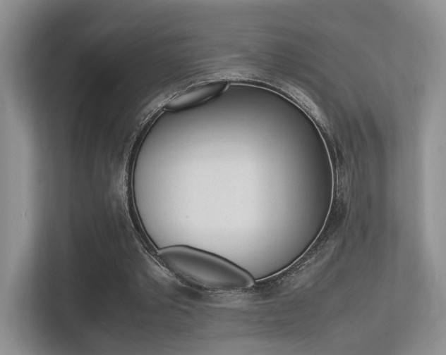 X0000113250389200909100947