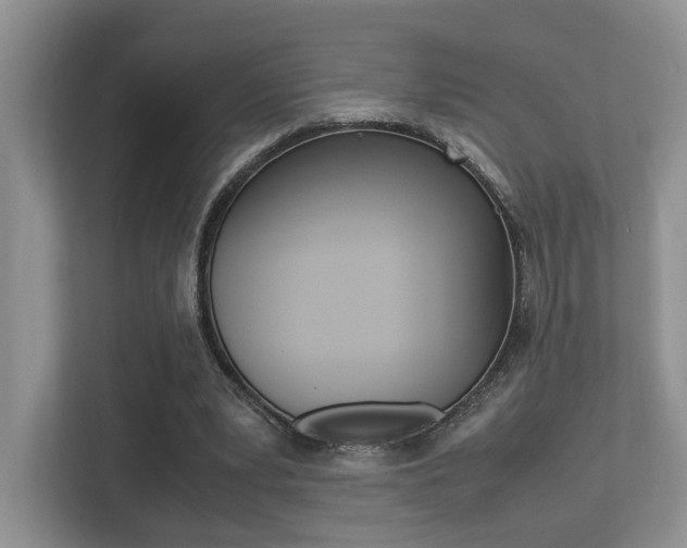 X0000113250391200909100947