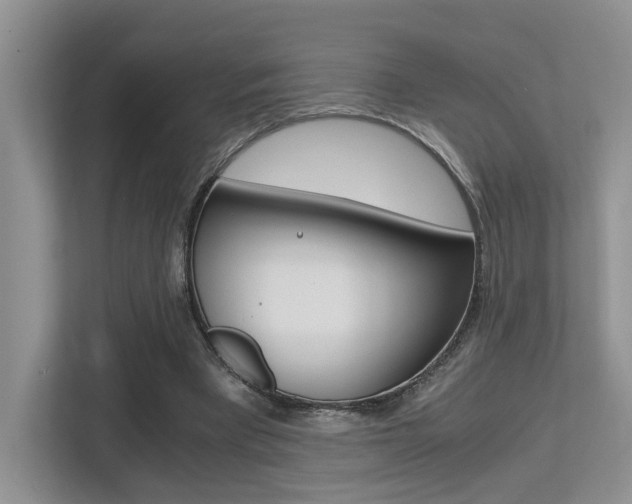 X0000113250393200909100947