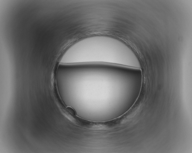 X0000113250397200909100947