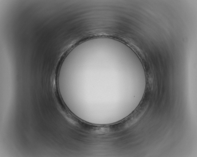 X0000113250398200909100947