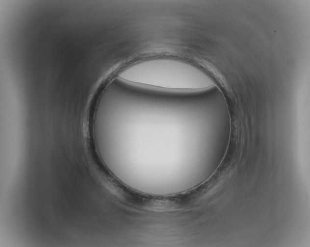 X0000113250399200909100947