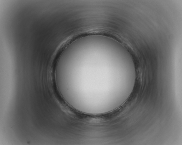 X0000113250400200909100947