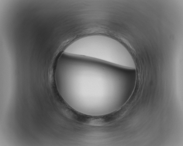 X0000113250403200909100947