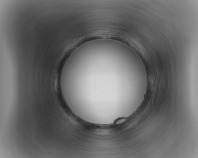 X0000113250404200909100947