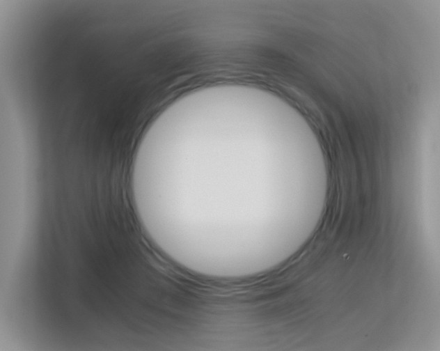 X0000113250409200909100947
