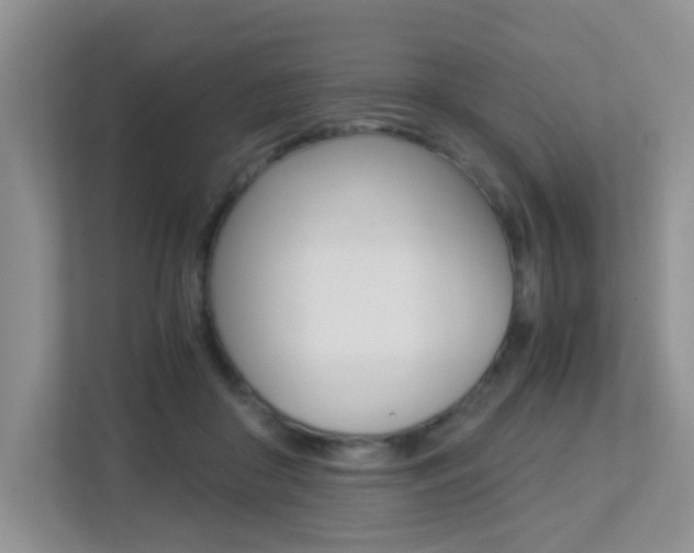 X0000113250410200909100947