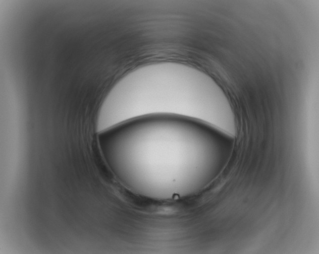 X0000113250412200909100947