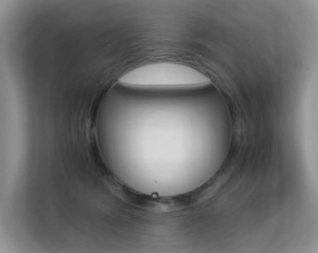 X0000113250420200909100946
