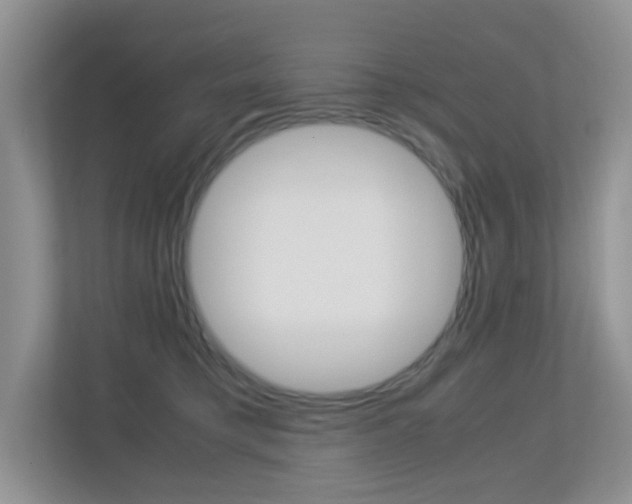 X0000113250421200909100946