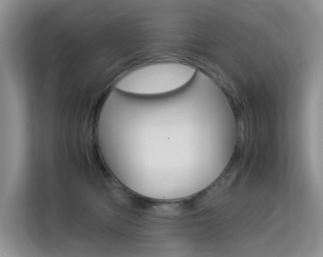 X0000113250422200909100946