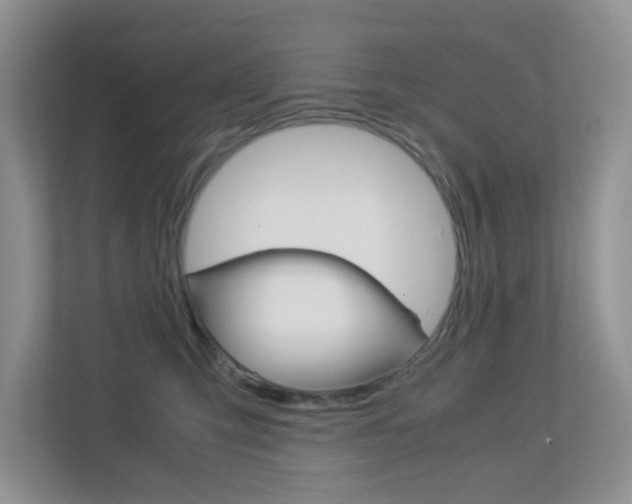 X0000113250423200909100946
