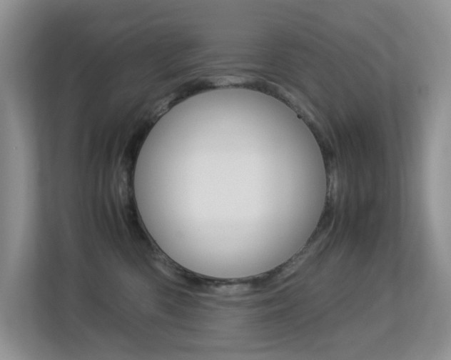 X0000113250426200909100946
