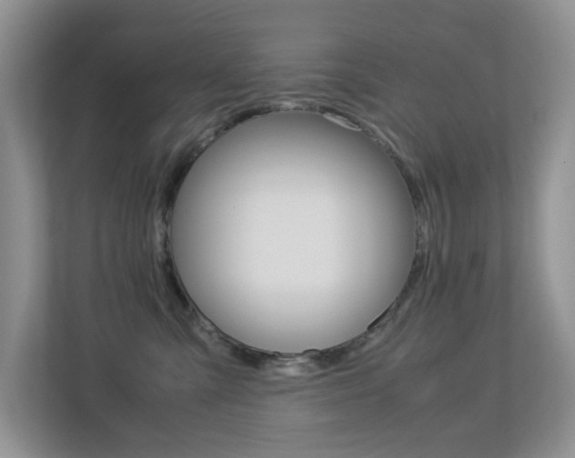 X0000113250427200909100946