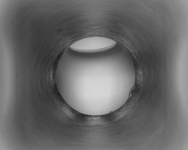 X0000113250428200909100946
