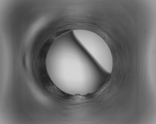 X0000113250429200909100946