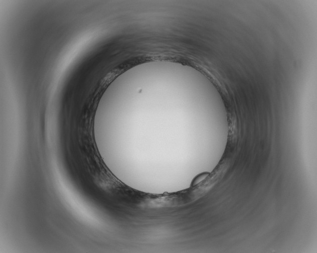 X0000113250430200909100946