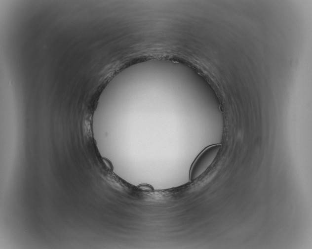 X0000113250432200909100946