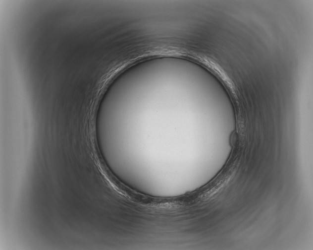 X0000113250433200909100946