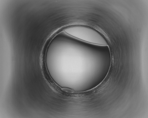 X0000113250436200909100946