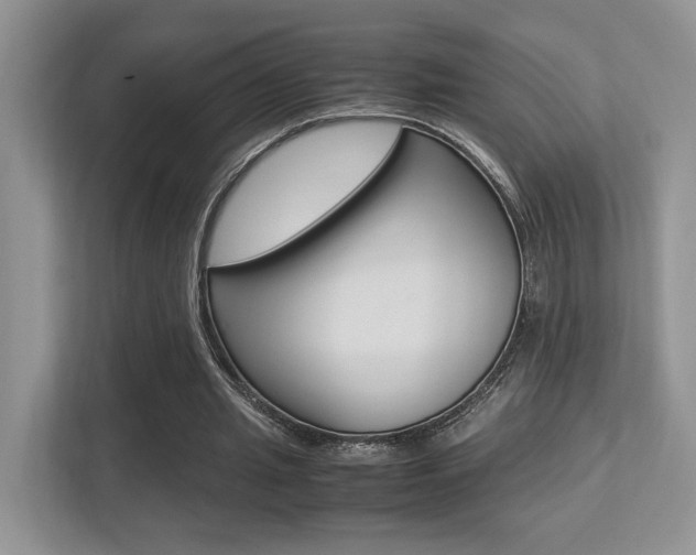 X0000113250437200909100946