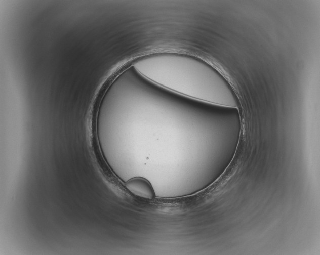 X0000113250438200909100946
