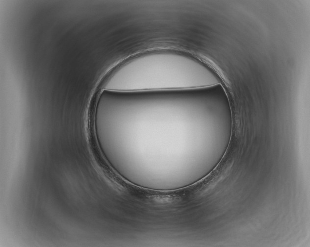 X0000113250439200909100946