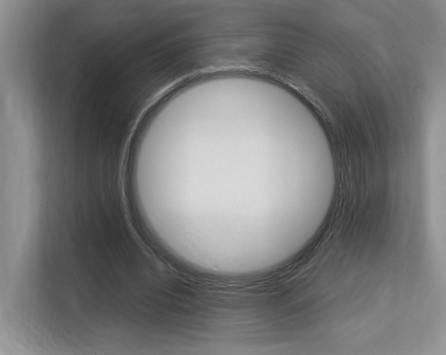 X0000113250440200909100946
