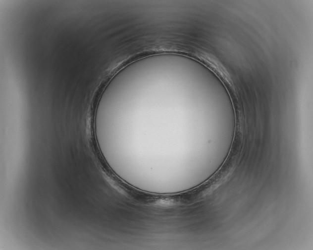 X0000113250441200909100946