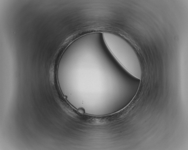 X0000113250442200909100946