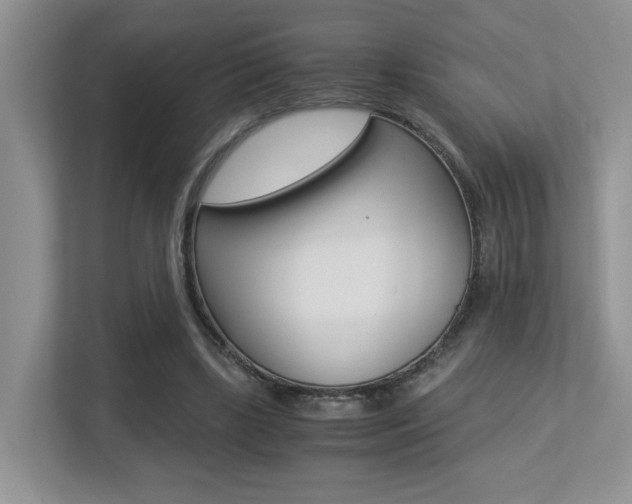 X0000113250443200909100946