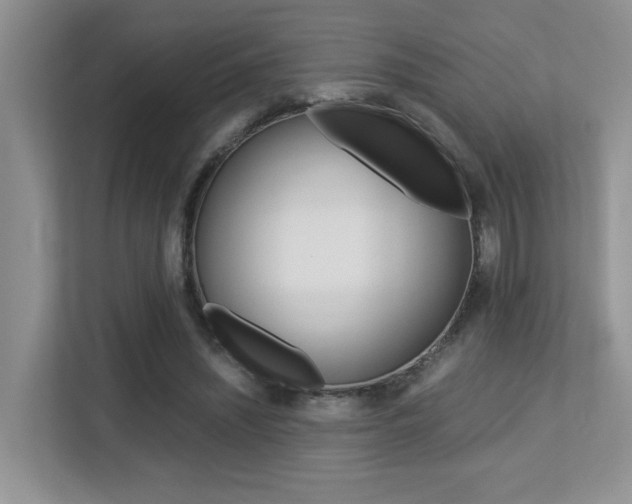 X0000113250444200909100946