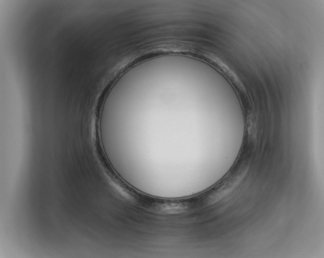 X0000113250445200909100946