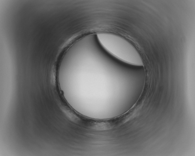 X0000113250446200909100946