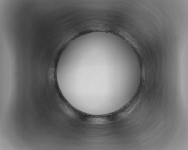 X0000113250449200909100946