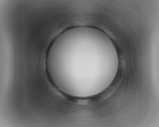 X0000113250450200909100946