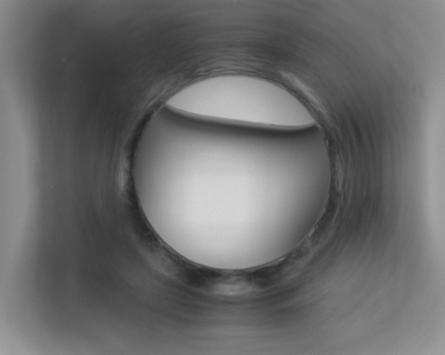 X0000113250451200909100946