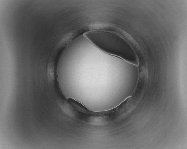 X0000113250452200909100946