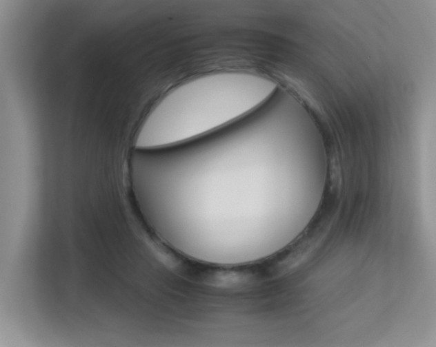 X0000113250453200909100946