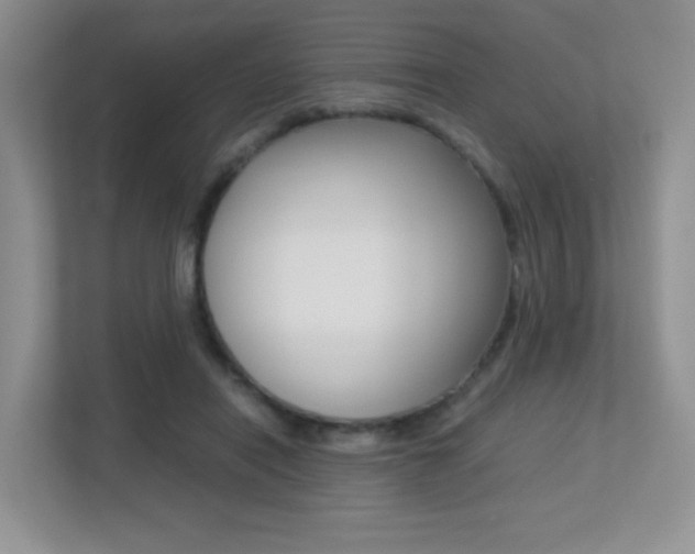 X0000113250454200909100946