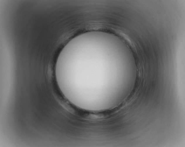 X0000113250455200909100946
