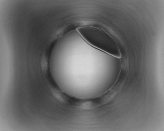 X0000113250456200909100946