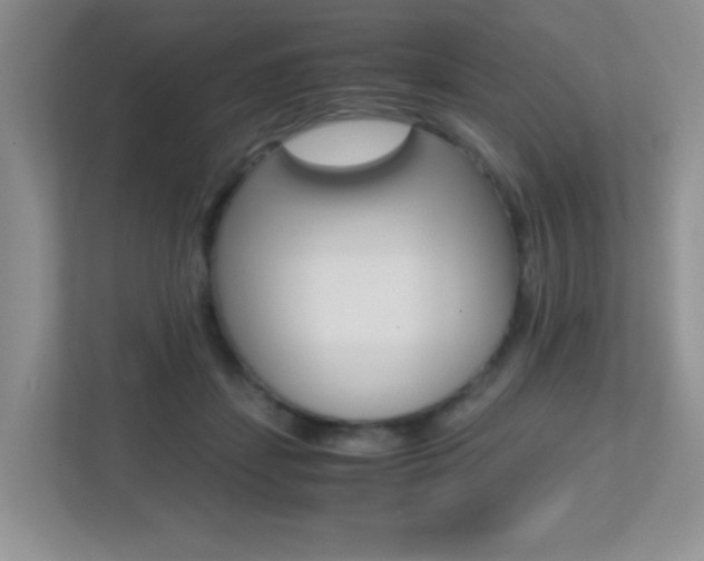X0000113250459200909100946