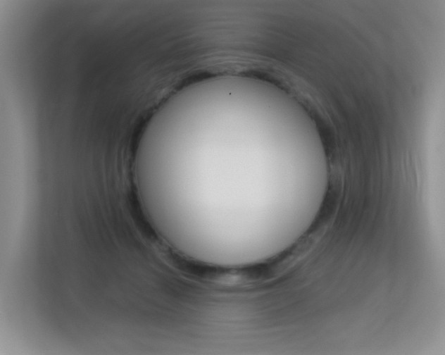 X0000113250460200909100946