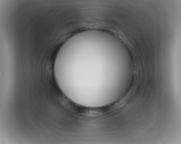 X0000113250466200909100946