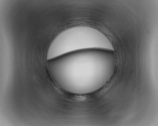 X0000113250469200909100946