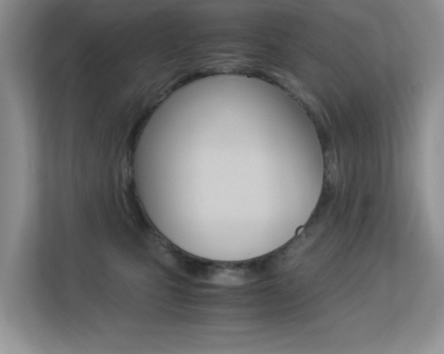 X0000113250471200909100946