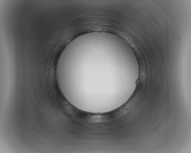 X0000113250473200909100946