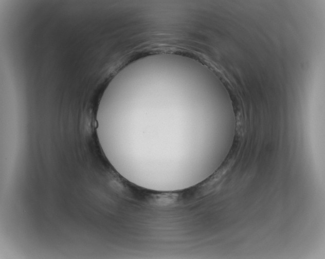 X0000113250474200909100946